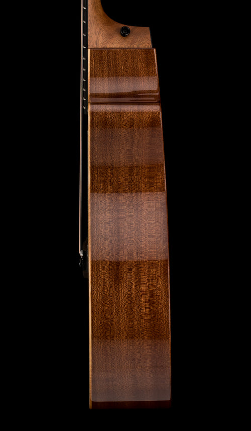 Taylor 314ce Studio #75287 (Demonstration Model)