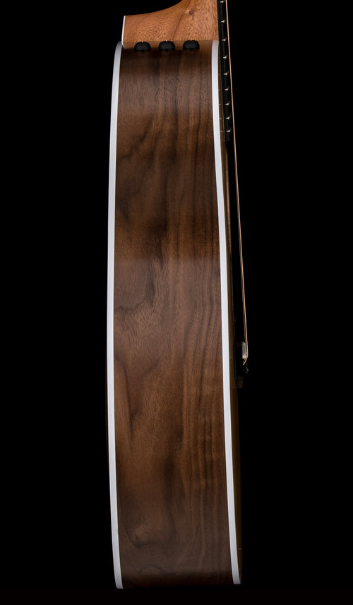 Taylor 214ce #26294 (Demonstration Model)