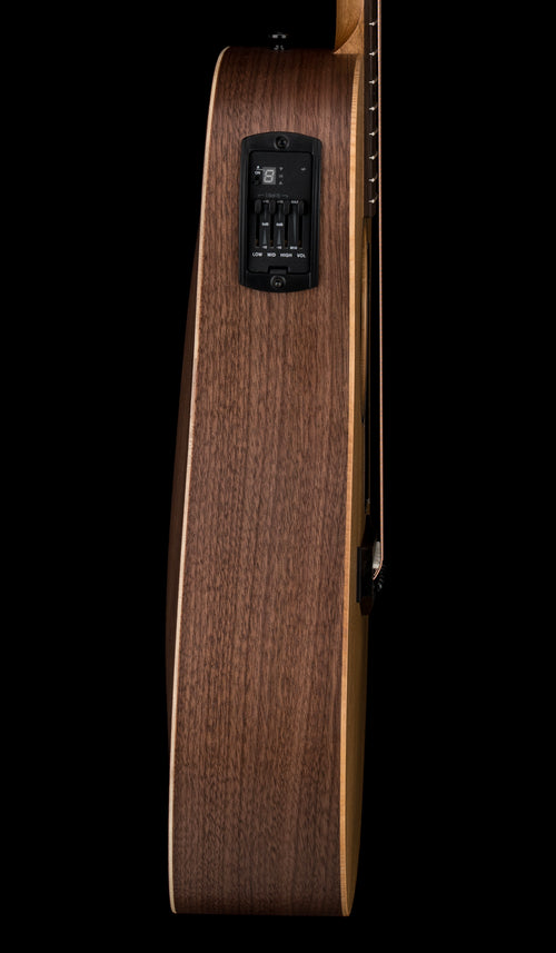 Taylor BBTe #15046 (Demonstration Model)