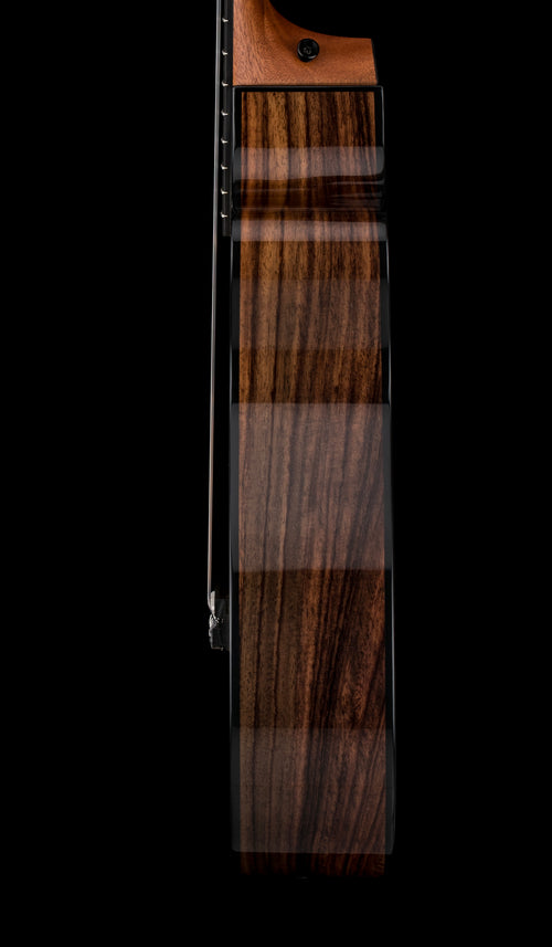 Taylor 212ce-N Plus #25228 (Demonstration Model)