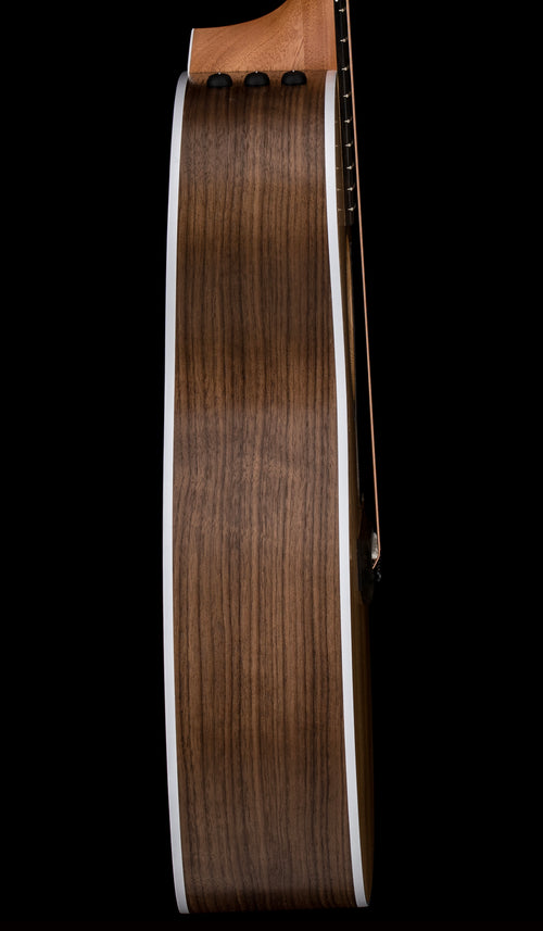Taylor 214ce #26269 (Demonstration Model)