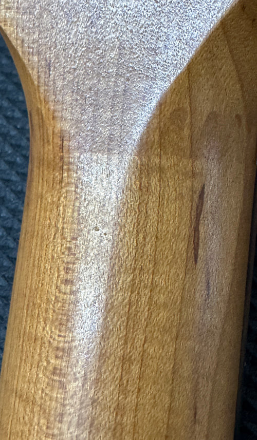 Taylor Baby Taylor (BT1) #65004 (Demonstration Model)