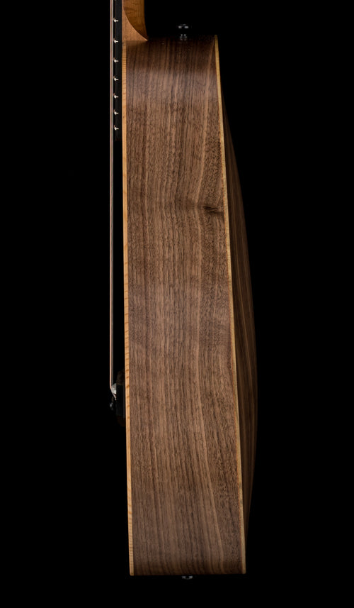 Taylor Baby Taylor (BT1) #65004 (Demonstration Model)