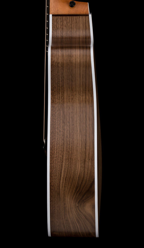 Taylor 214ce #86284 (Demonstration Model)