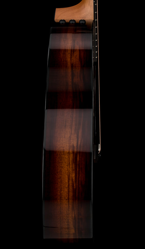 Taylor 224ce-K DLX - Shaded Edgeburst #66301 (Demonstration Model)