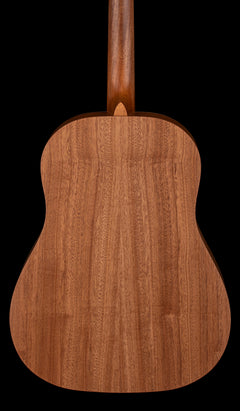 Martin DSS Biosphere II #18672 (NAMM Demonstration Model)