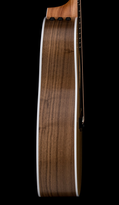 Taylor 214ce #76250 (Demonstration Model)