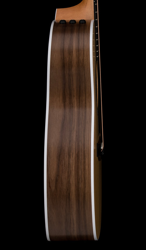 Taylor 214ce #66228 (Demonstration Model)