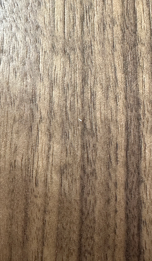 Taylor Baby Taylor (BT1e) Left Handed #55006 (Demonstration Model)