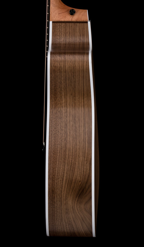 Taylor 214ce #86292 (Demonstration Model)