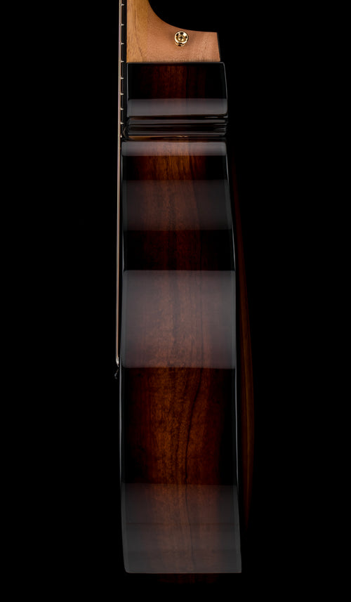 Taylor 224ce-K DLX - Shaded Edgeburst #25359 (Demonstration Model)