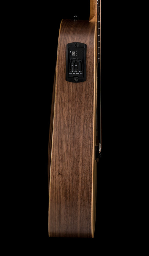 Taylor BBTe #25040 (Demonstration Model)