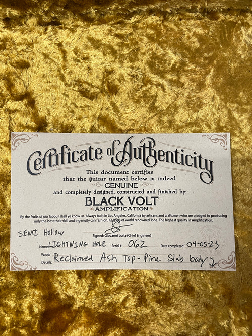 Black Volt Custom Shop Semi Hollow Earthcaster Brazilian Rosewood - Oil Finish #062