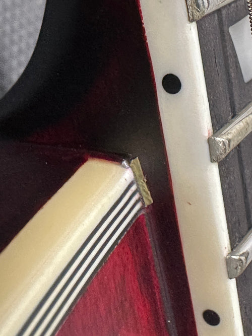 LTD EC-401 - See Thru Black Cherry Sunburst #81167 (Factory Demonstration Model)