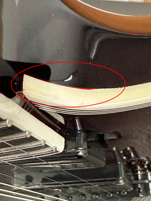 LTD EC-1000 - See Thru Black Cherry #20178 (Factory Demonstration Model)