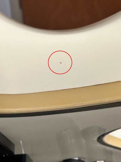 LTD EC-401 - Olympic White #20633 (Factory Demonstration Model)