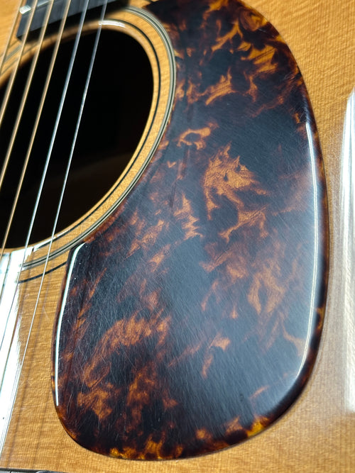 Used Breedlove Custom Shop Focus Revival D-SME (2011) #14413 with Original Hard Case