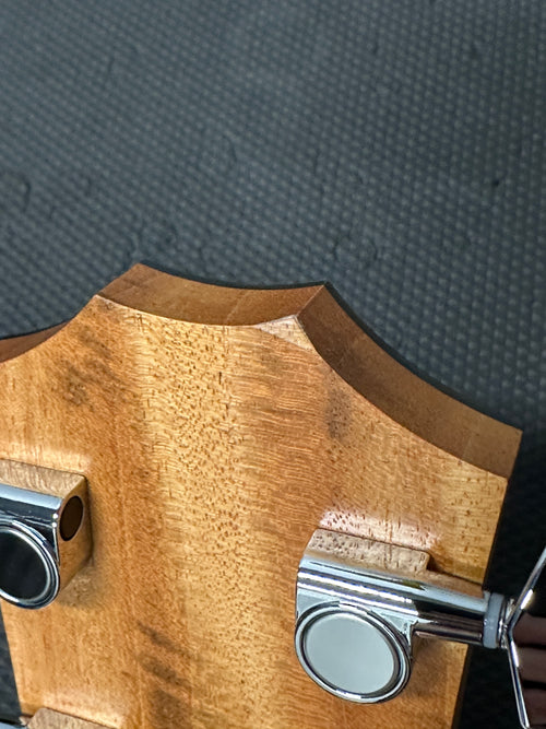 Taylor 214ce #06553 (Demonstration Model)