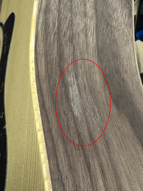 Taylor BBTe #95042 (Demonstration Model)