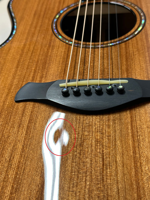 Taylor Builder's Edition 914ce #04006 (Demonstration Model)