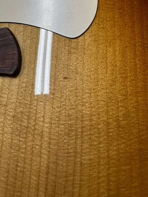 Taylor Gold Label 517e - Sunburst #35056 (Demonstration Model)