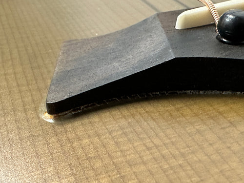 Used Taylor GS Mini-e Special Edition (Prototype) - Olive #34440 with Original Gig Bag