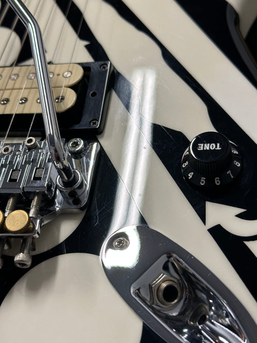 Used EVH Striped Series Circles (2014) - Black and White Crop Circles #00889
