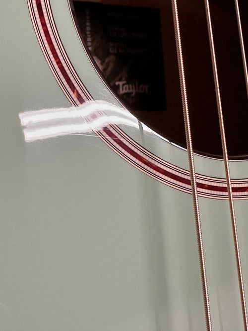 Taylor Custom Shop Gold Label C14e B6007 - Fern Green #01563 (NAMM 2026)