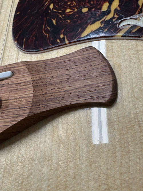 Taylor Gold Label 914e #15083 (NAMM 2026)