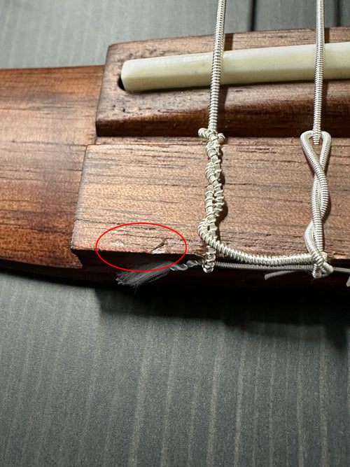 Used Ibanez Tim Henson TOD10N (2024) - Transparent Black Flat #03474