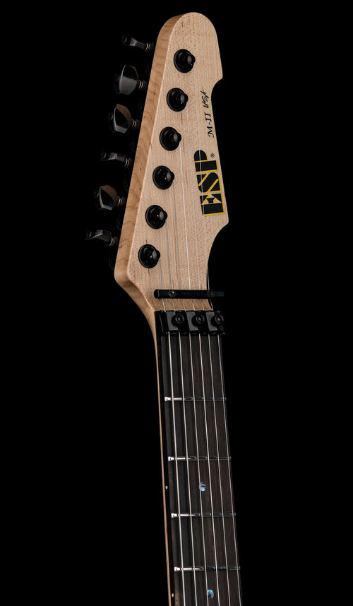 ESP M-II FR USA - Wild Plum Metallic #25168