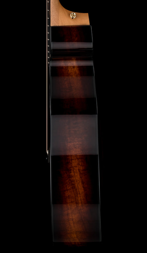 Taylor 224ce-K DLX - Shaded Edgeburst #45403 (Demonstration Model)