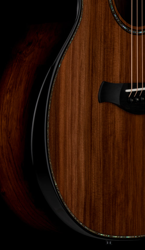 Taylor Next Generation Builder's Edition 914ce Honduran Rosewood/Sinker Redwood #16098