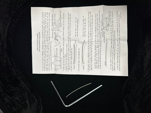 Used Breedlove Solo Pro Concert CE 12-String (2022) - Edgeburst #09948 with Original Hard Case