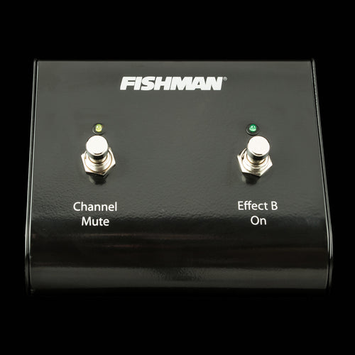 Fishman Loudbox Dual Foot Switch