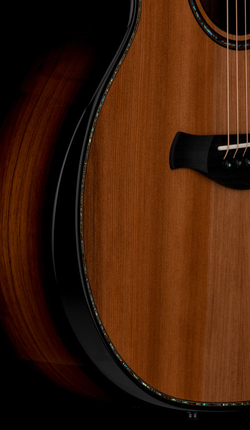 Taylor Next Generation Builder's Edition 914ce Honduran Rosewood/Sinker Redwood #66049