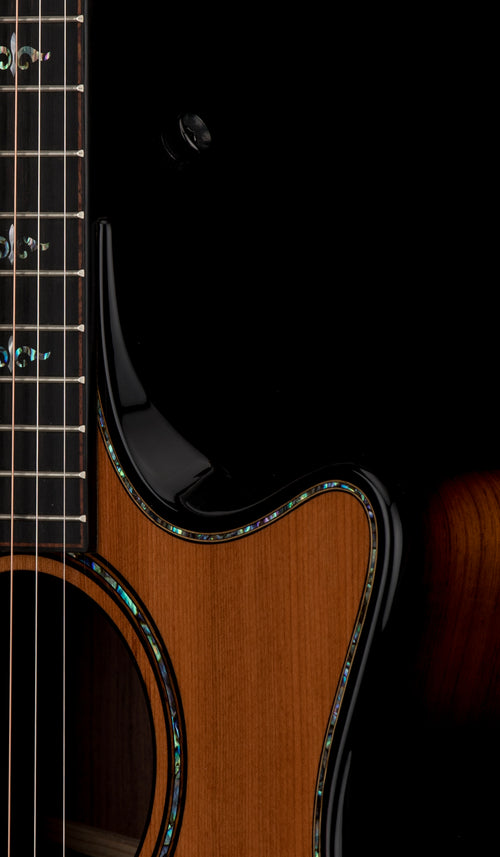Taylor Next Generation Builder's Edition 914ce Honduran Rosewood/Sinker Redwood #66049