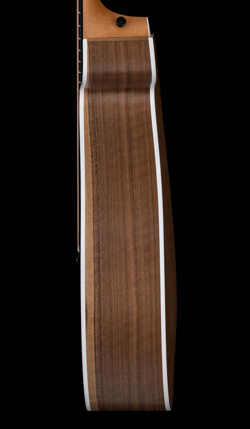 Taylor 210ce - Natural #65376 (Demonstration Model)