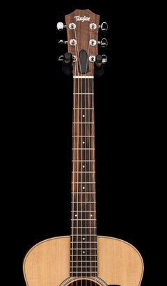 Taylor GS Mini Sapele #06155