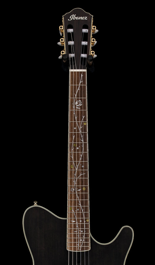 Used Ibanez Tim Henson TOD10N (2024) - Transparent Black Flat #03474