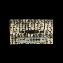 Benson Vinny Reverb Combo - Coco/Black #070126G