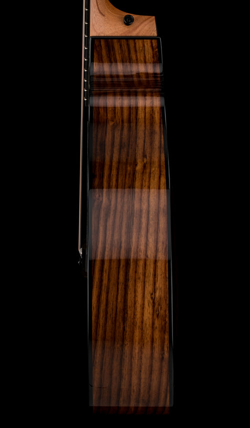 Taylor 214ce Plus #06376 (Demonstration Model)