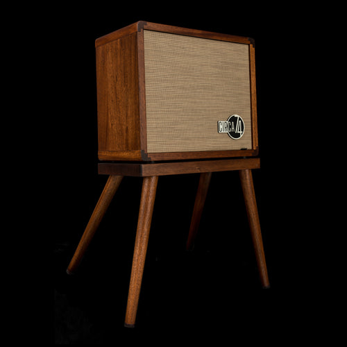 Taylor Circa 74 2-in-1 Acoustic Guitar / Vocal Amplifier + Amp Stand (Demonstration Model) #02772