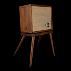 Taylor Circa 74 2-in-1 Acoustic Guitar / Vocal Amplifier + Amp Stand (Demonstration Model) #02770