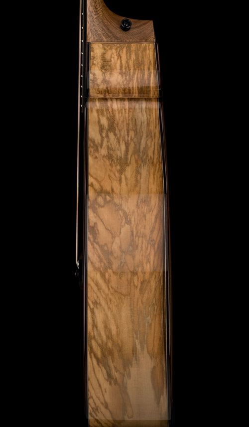 Taylor 814ce Special Edition Sassafras #26004