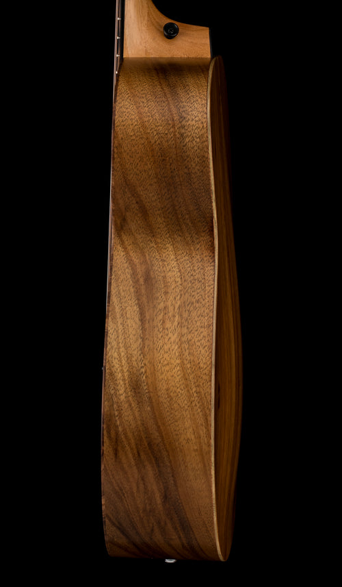 Taylor GS Mini-e Koa #16246