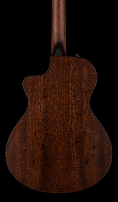 Taylor 312ce-N #25020