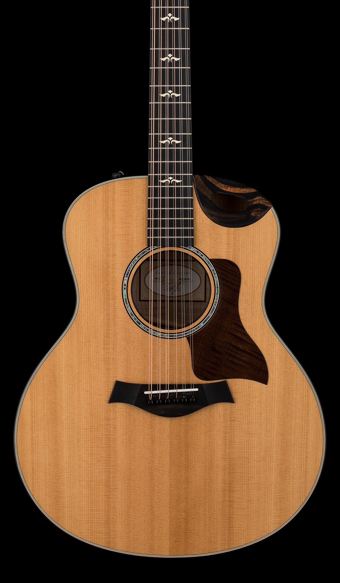 Taylor ギター Taylor Guitars