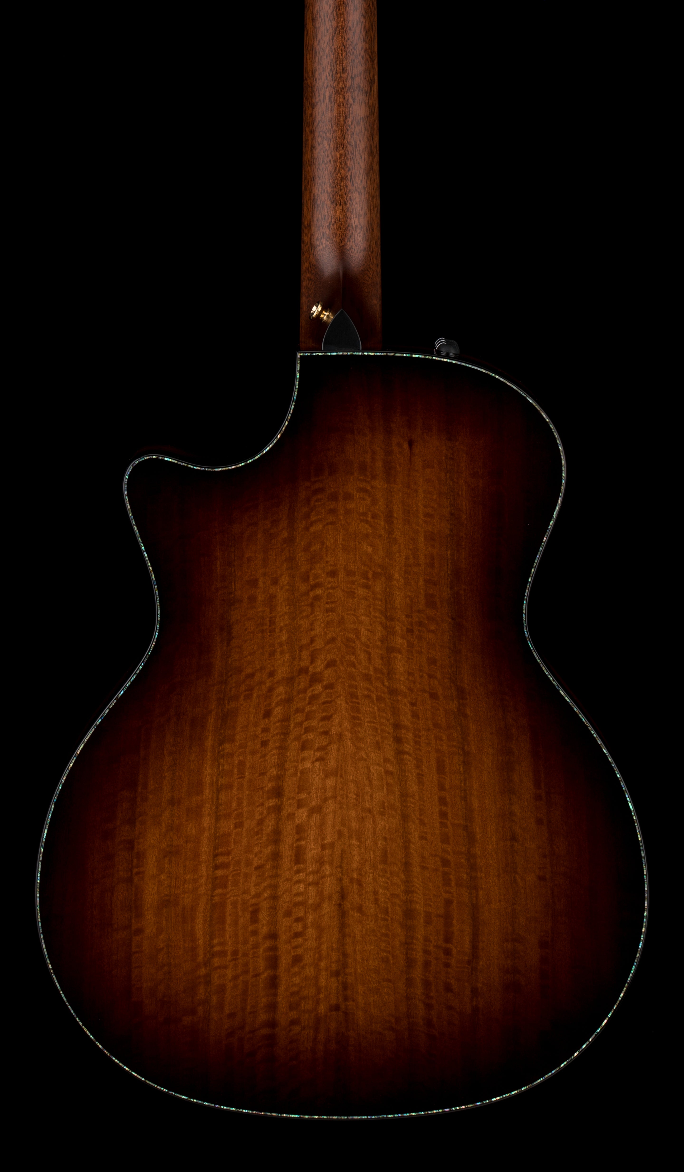 超レア！Tableek / KEYNOTE SPEARER Taylor PS14ce Ironbark/Sinker Redwood (Prototype) – Empire Music