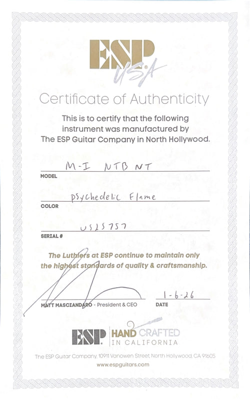 ESP M-1 USA - Psychedelic Flame #25757